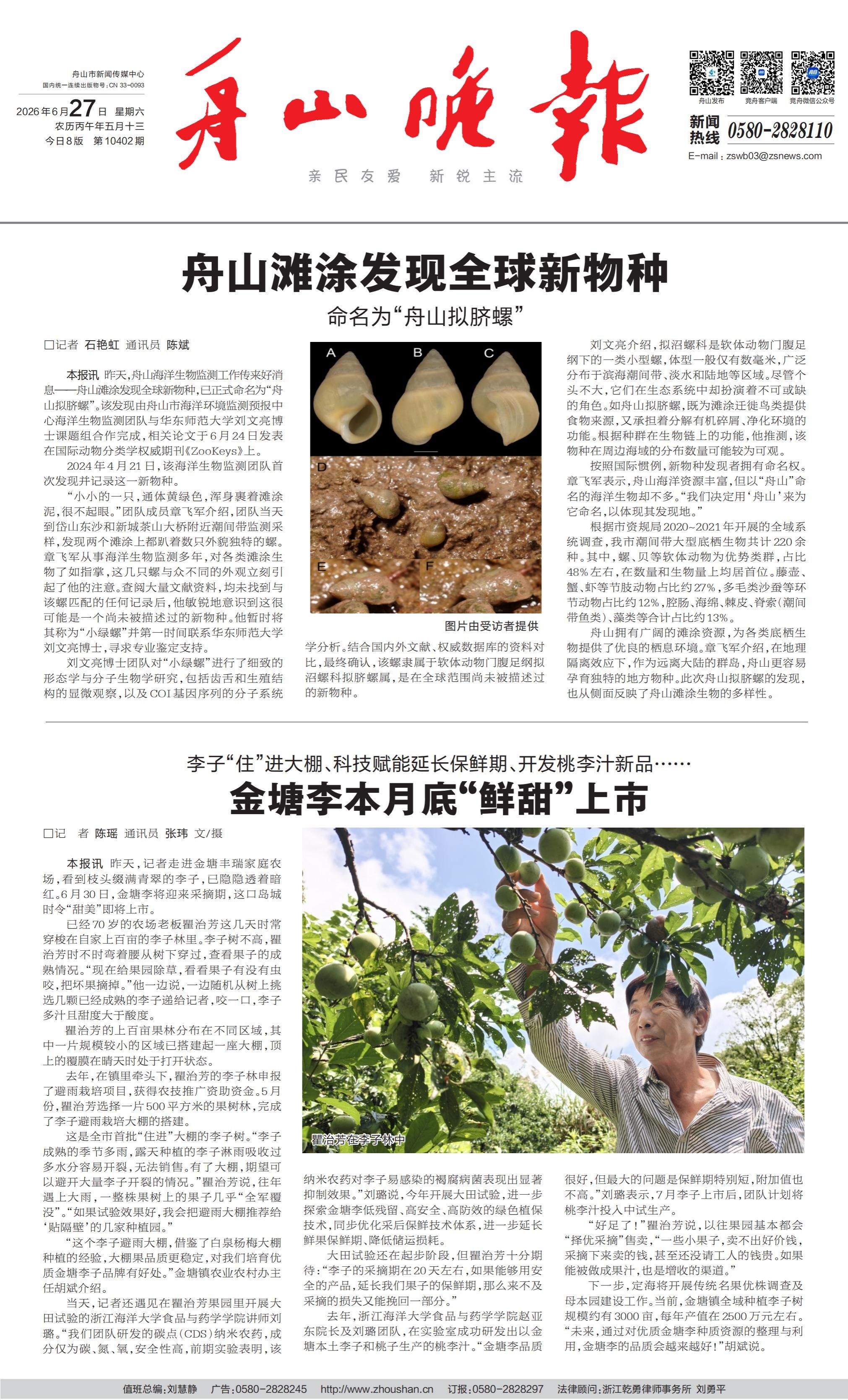金塘李本月底“鲜甜” 上市.jpg