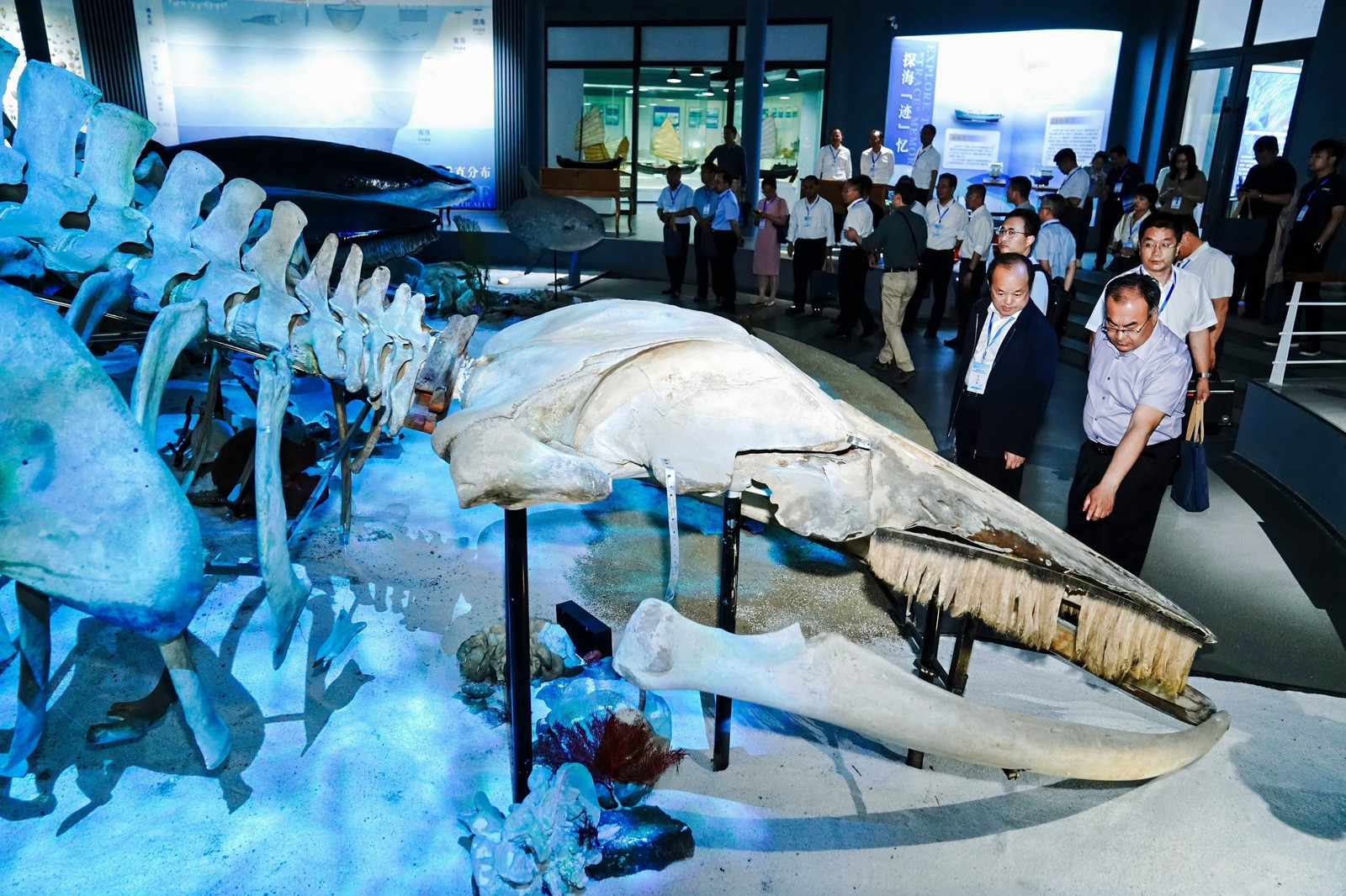 参观海洋生物博物馆.jpg
