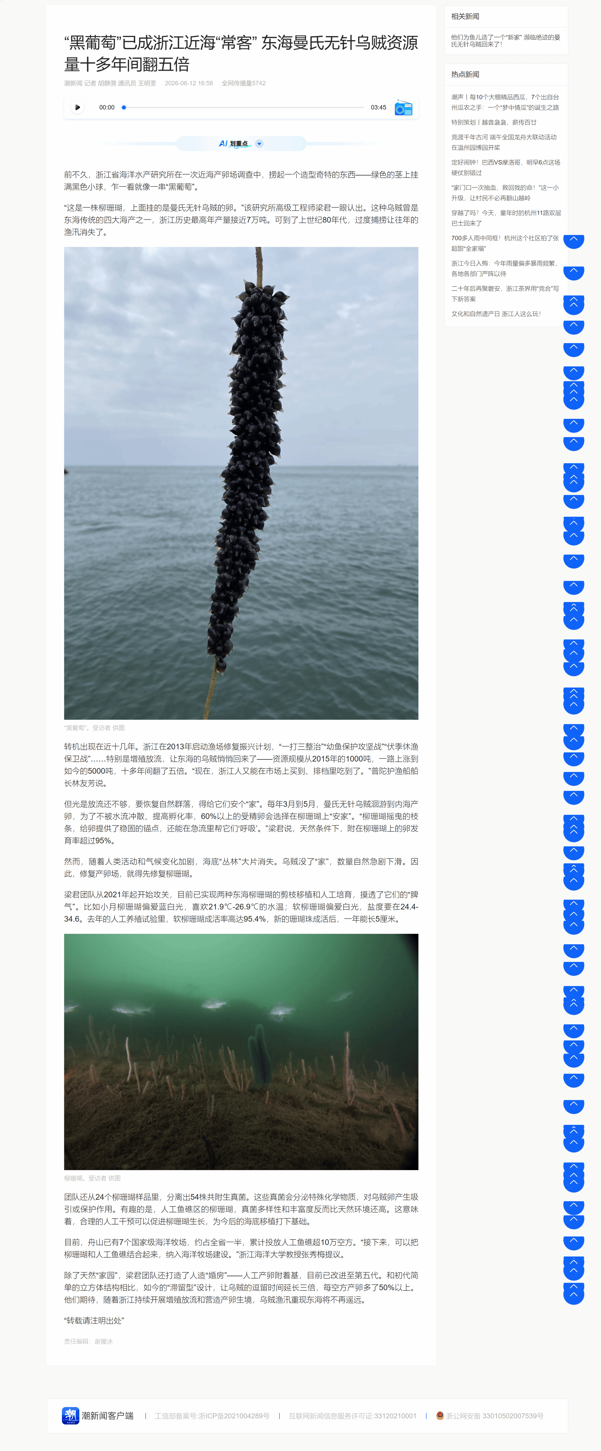 “黑葡萄”已成浙江近海“常客” 东海曼氏无针乌贼资源量十多年间翻五倍.png