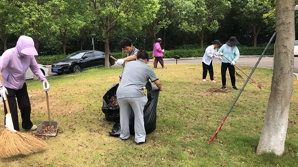 行政楼清扫枯叶.jpg