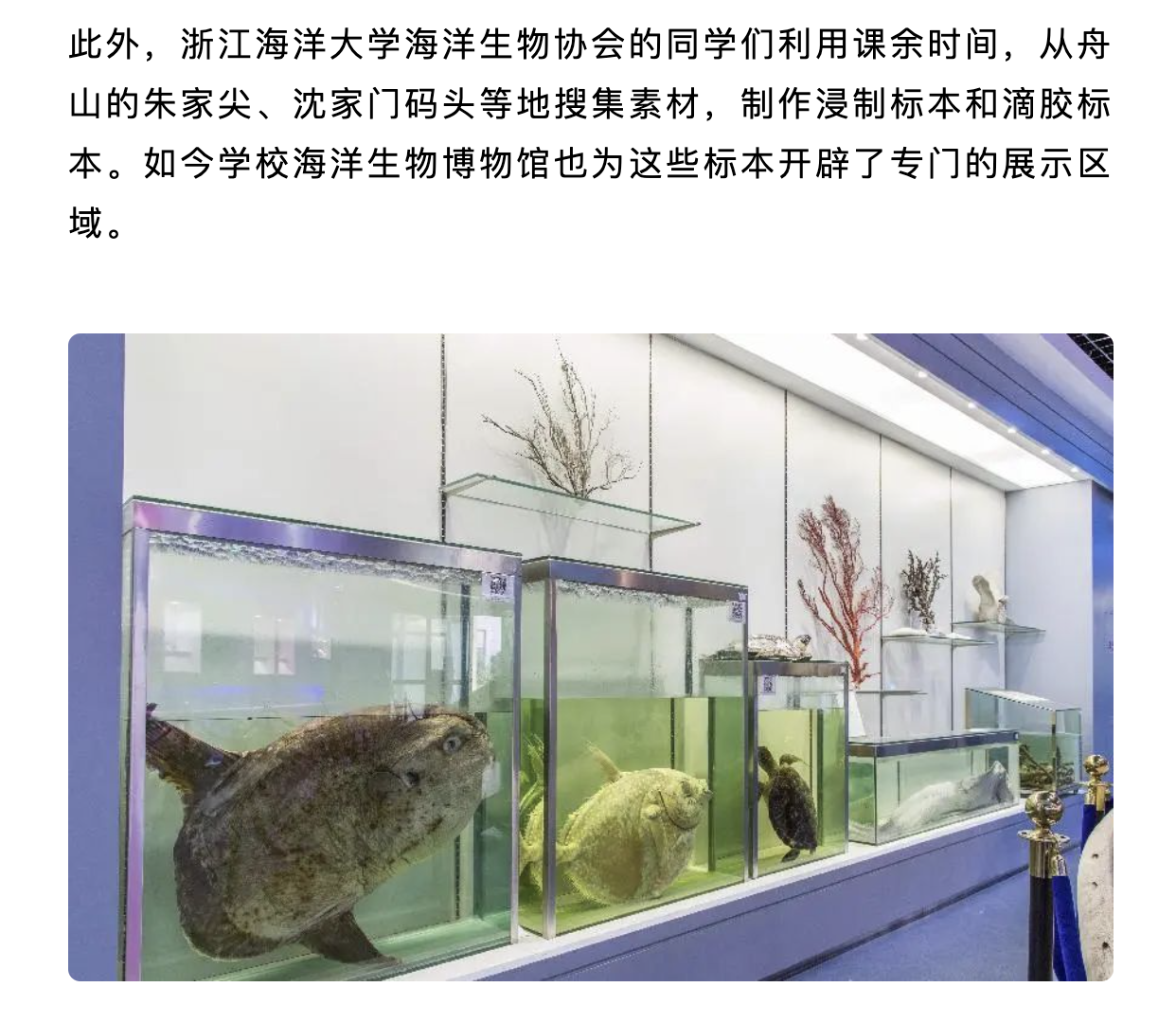 20250316 竞舟客户端 上了央视!舟山这个宝藏博物馆藏不住了10.png