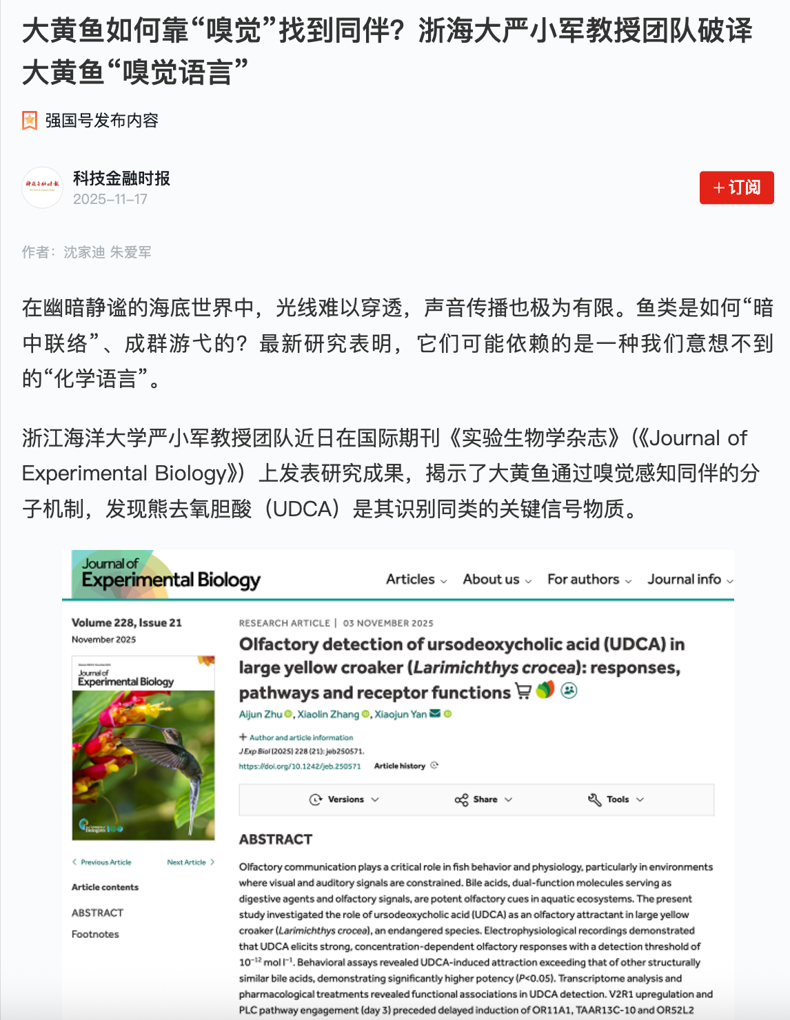 2025117 《科技金融时报》 大黄鱼如何靠“嗅觉”找到同伴?浙海大严小军教授团队破译大黄鱼“嗅觉语言”1.png