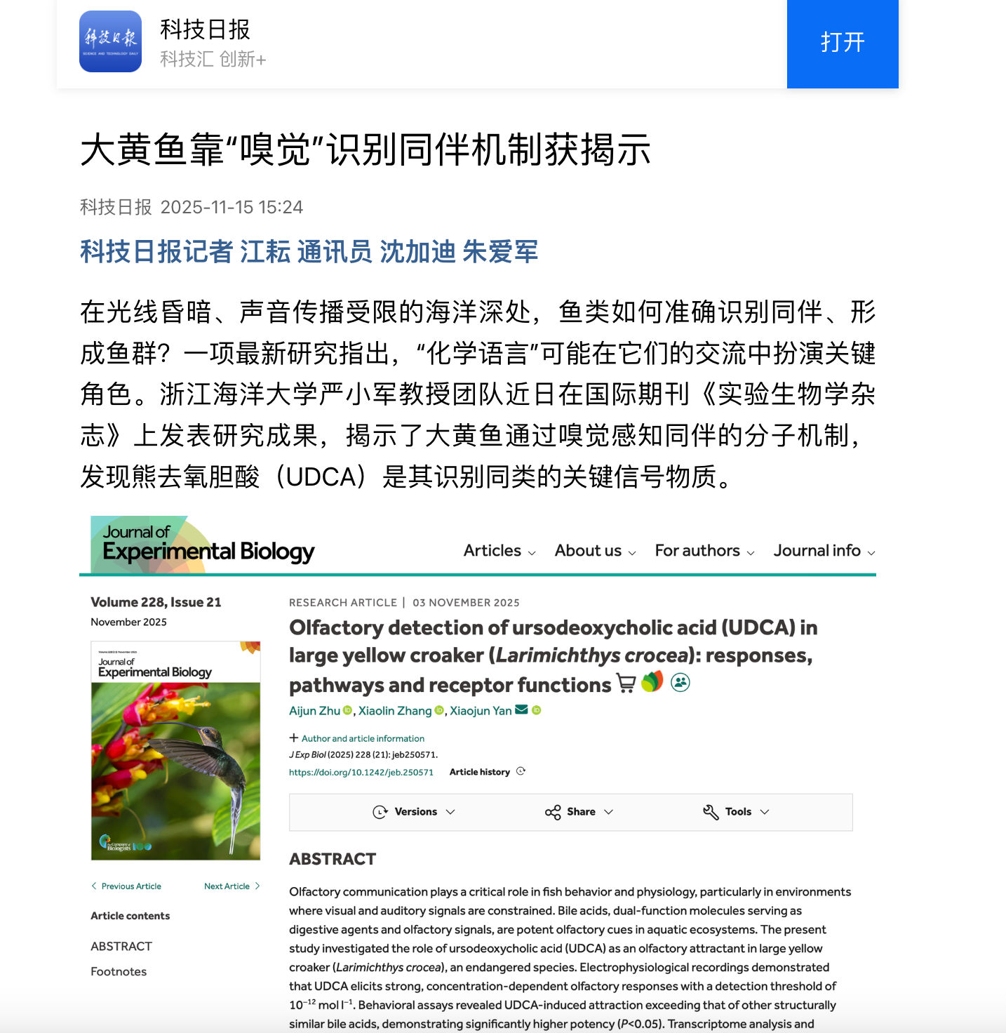 20251115 《科技日报》 大黄鱼靠“嗅觉”识别同伴机制获揭示1.png