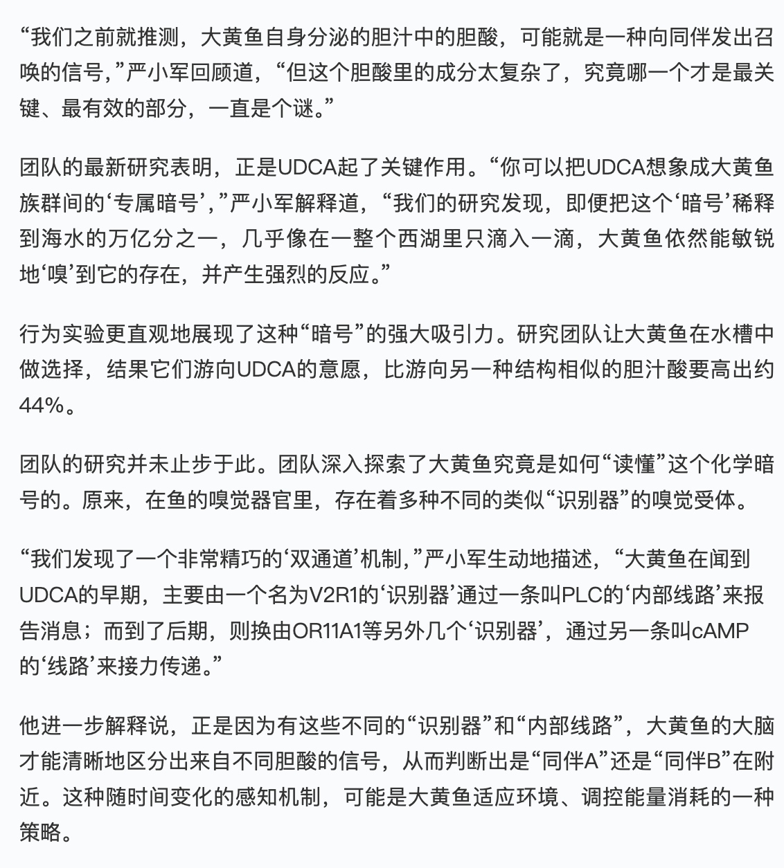2025117 《科技金融时报》 大黄鱼如何靠“嗅觉”找到同伴?浙海大严小军教授团队破译大黄鱼“嗅觉语言”2.png