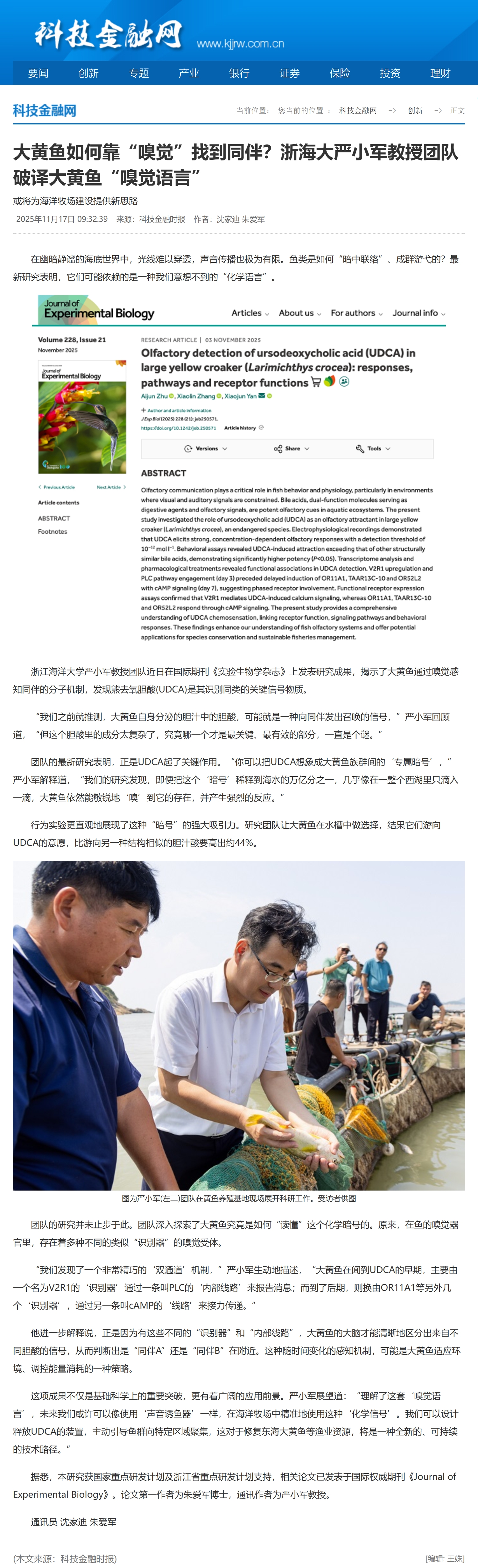屏幕截图_17-11-2025_184829_www.kjjrw.com.cn.jpeg