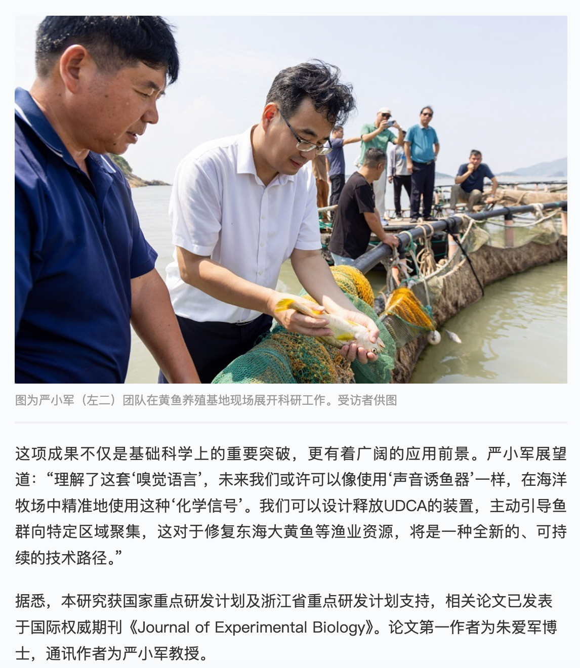 2025117 《科技金融时报》 大黄鱼如何靠“嗅觉”找到同伴?浙海大严小军教授团队破译大黄鱼“嗅觉语言”3.png