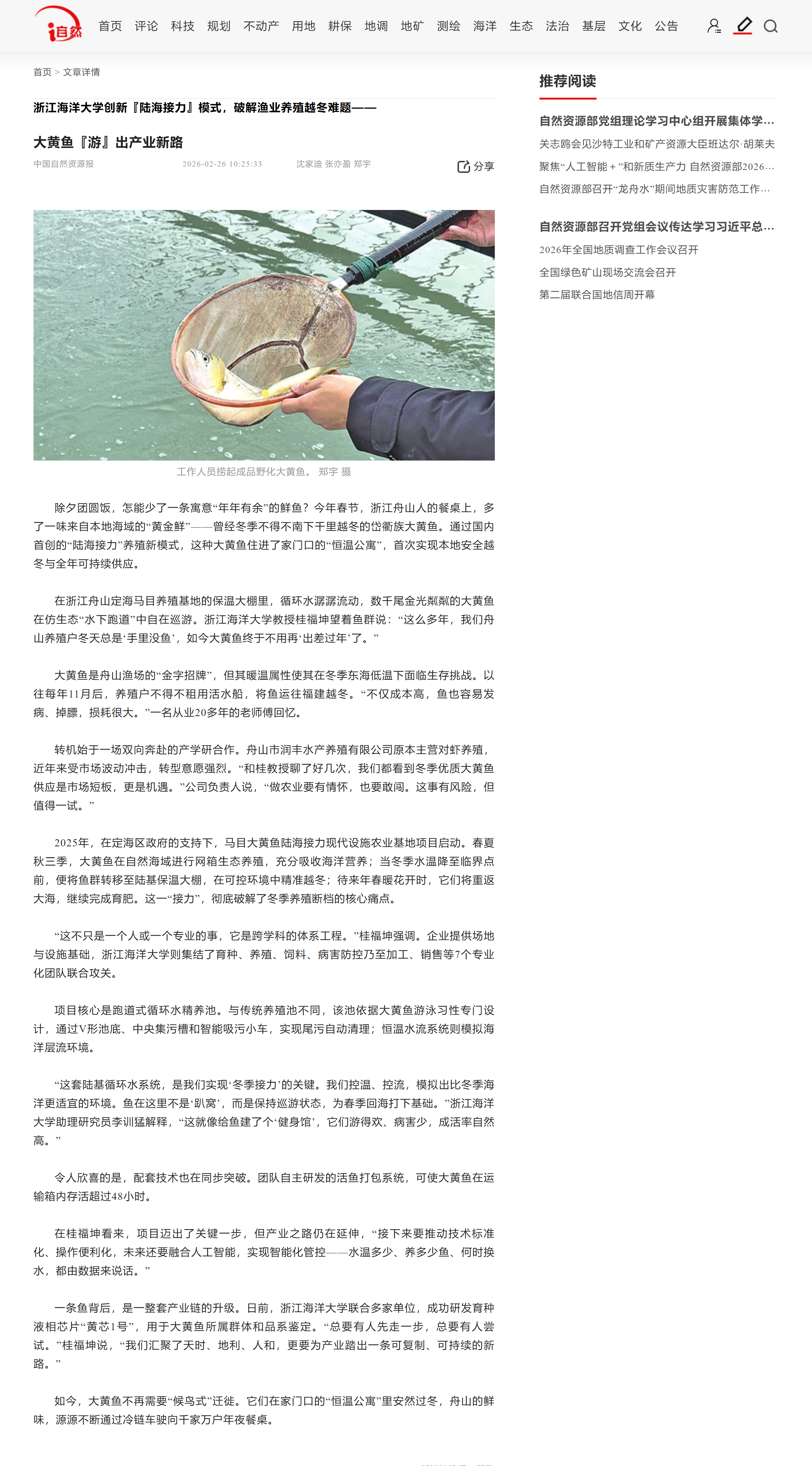 大黄鱼产业.png