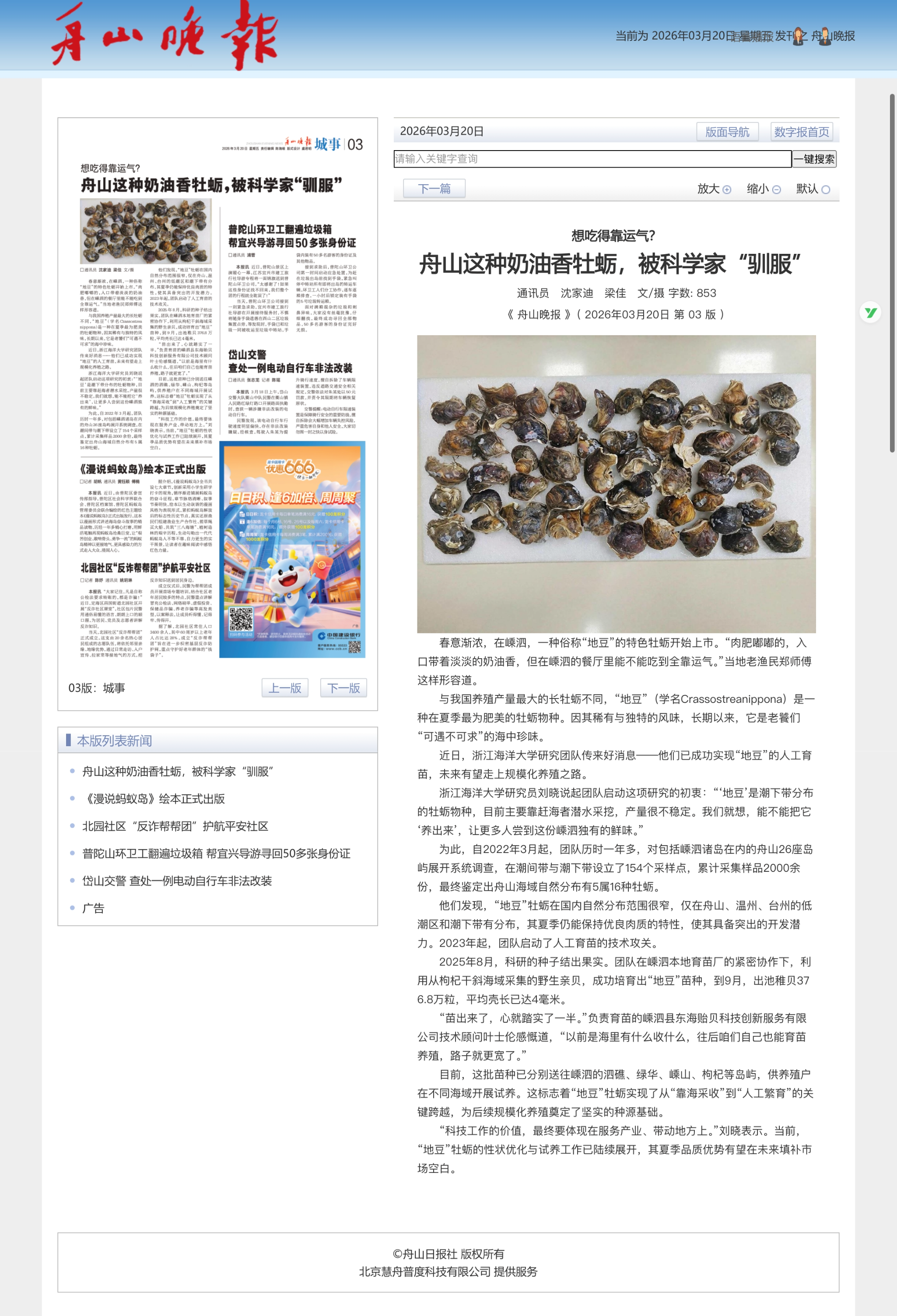 舟山这种奶油香牡蛎,被科学家“驯服”.png