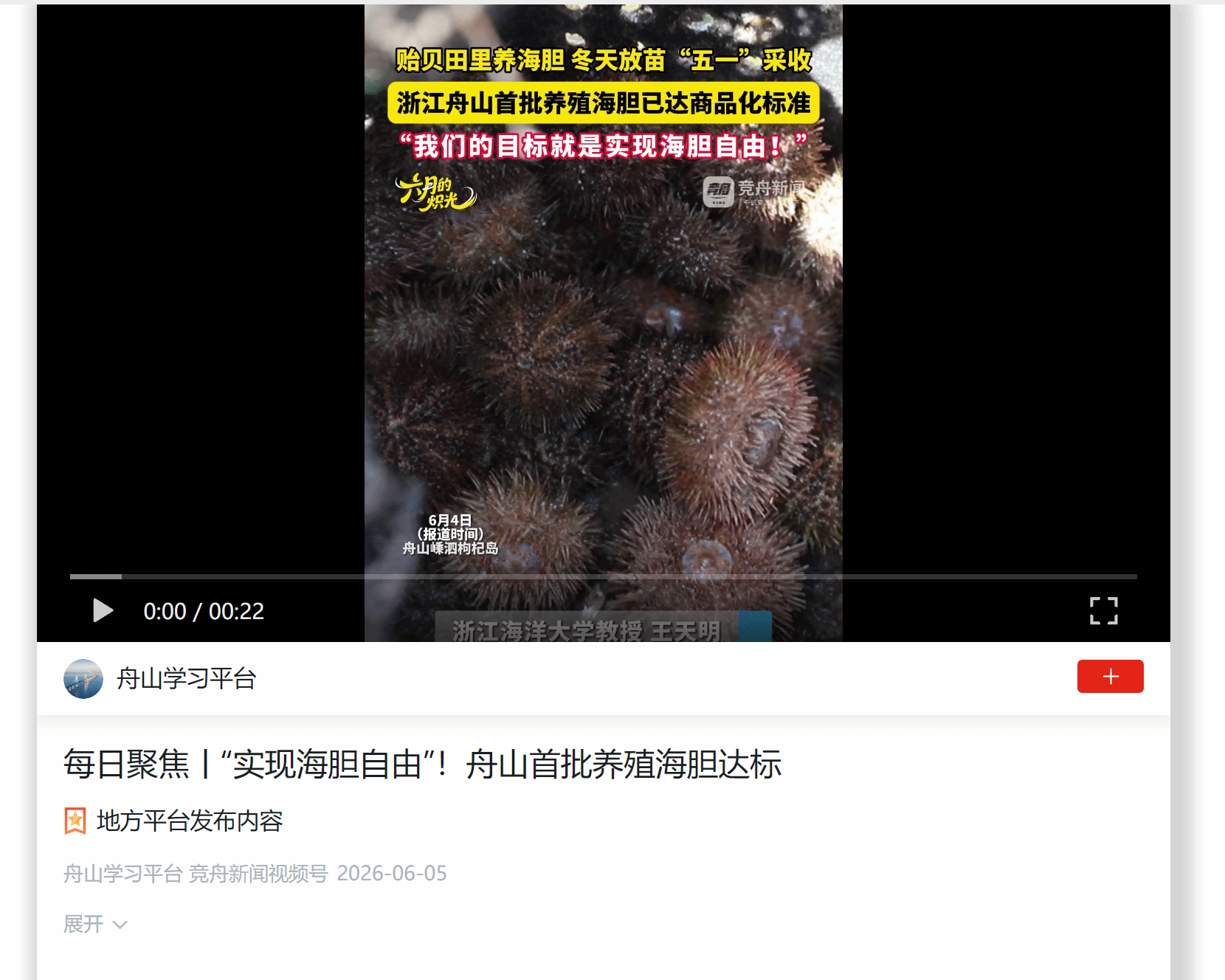 每日聚焦丨“实现海胆自由”!舟山首批养殖海胆达标.png