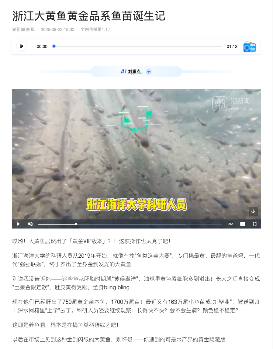 20250922 潮新闻客户端 浙江大黄鱼黄金品系鱼苗诞生记.png