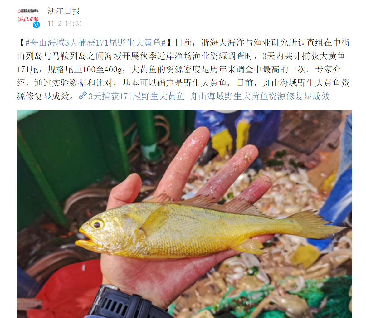 浙江日报微博.PNG