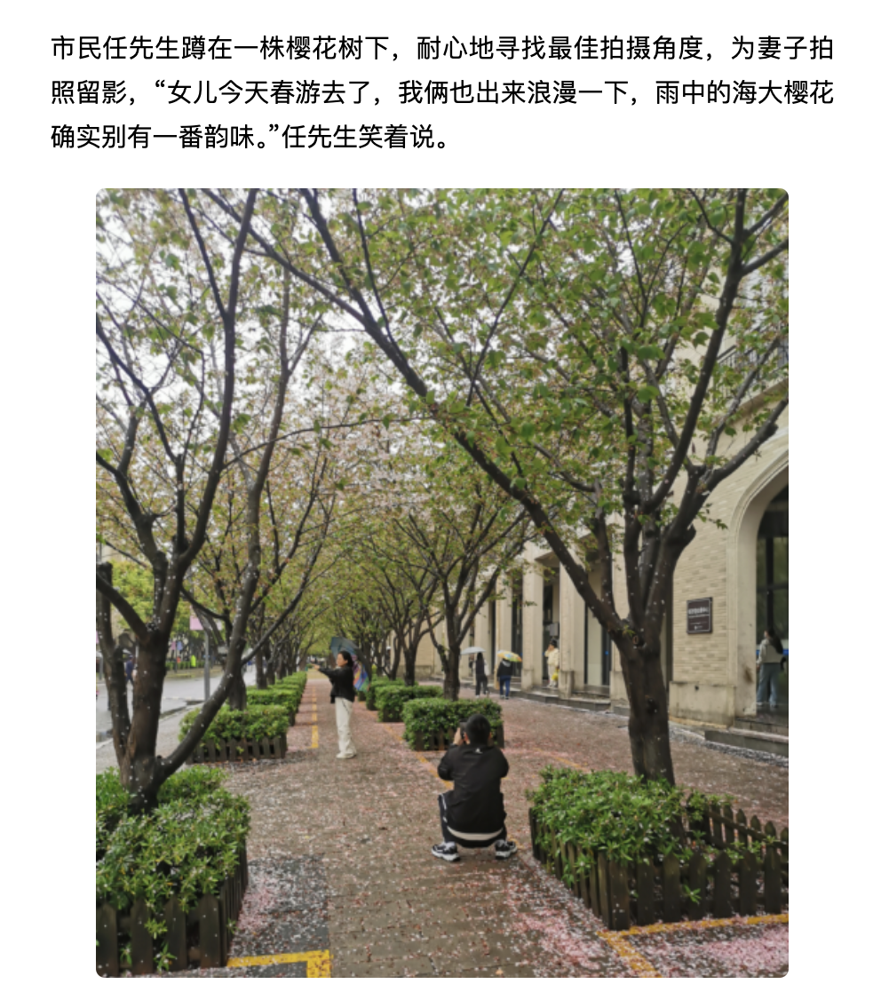 20250412 竞舟客户端 “樱花节”启幕!活动超多!去浙海大邂逅粉色浪漫吧~ 1.png