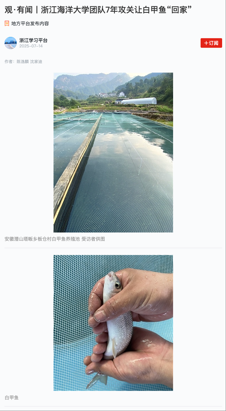 20250714 学习强国 观·有闻丨浙江海洋大学团队7年攻关让白甲鱼“回家”1.png