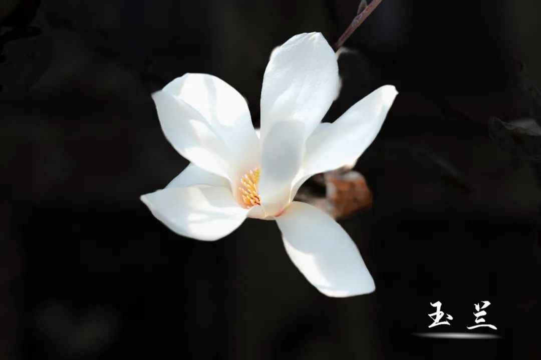 640.jpg 图片