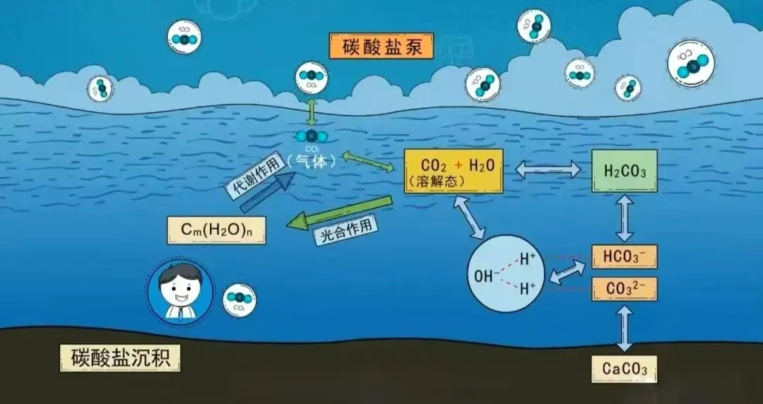 1c7b0149c9c6c8ff1f0ad19f6870361.jpg 1c7b0149c9c6c8ff1f0ad19f6870361.jpg