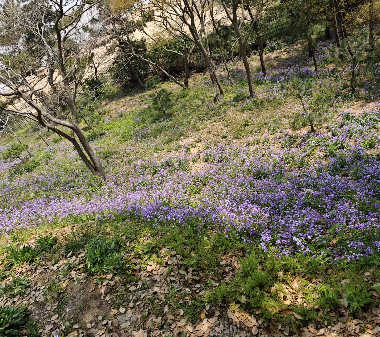 微信图片_20250408122700.jpg