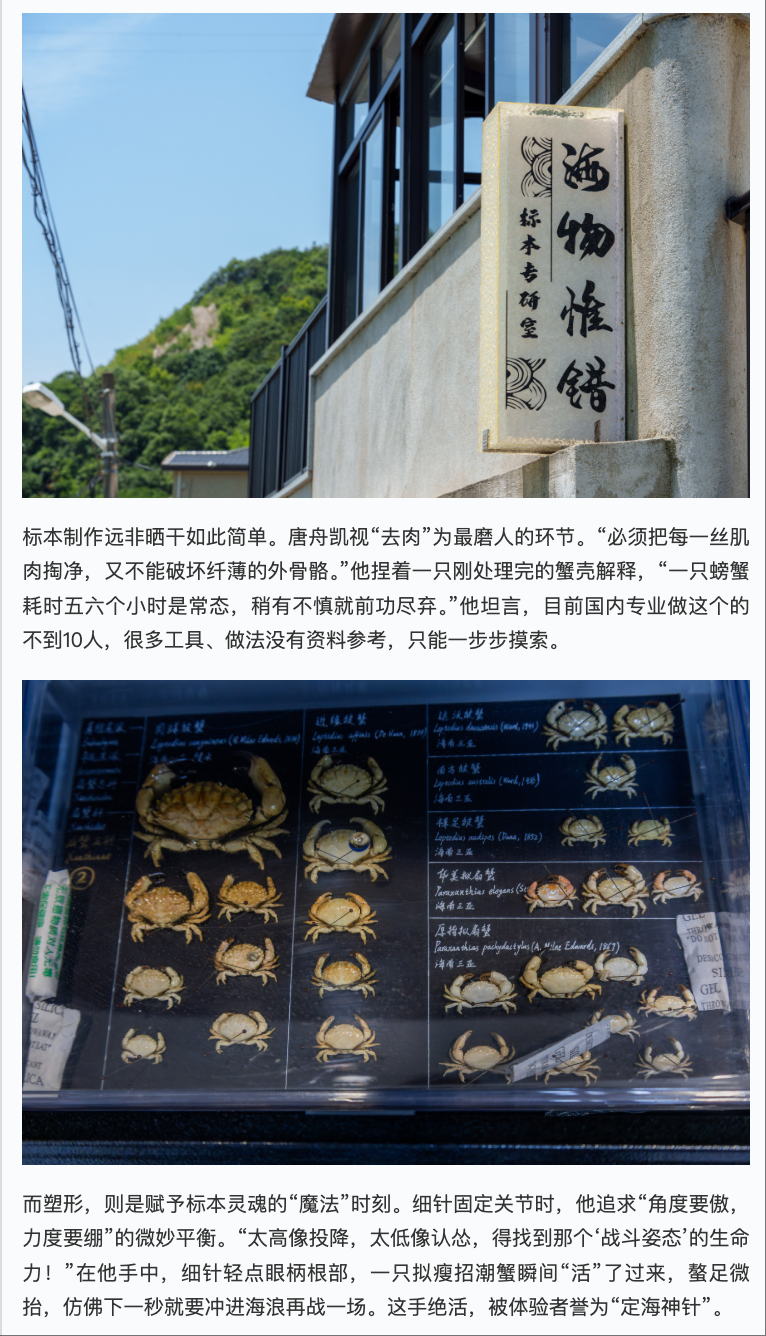 20250821 学习强国 今天我出镜丨乡村主理人唐舟凯:“复活”海洋精灵 传播渔乡文化2.png