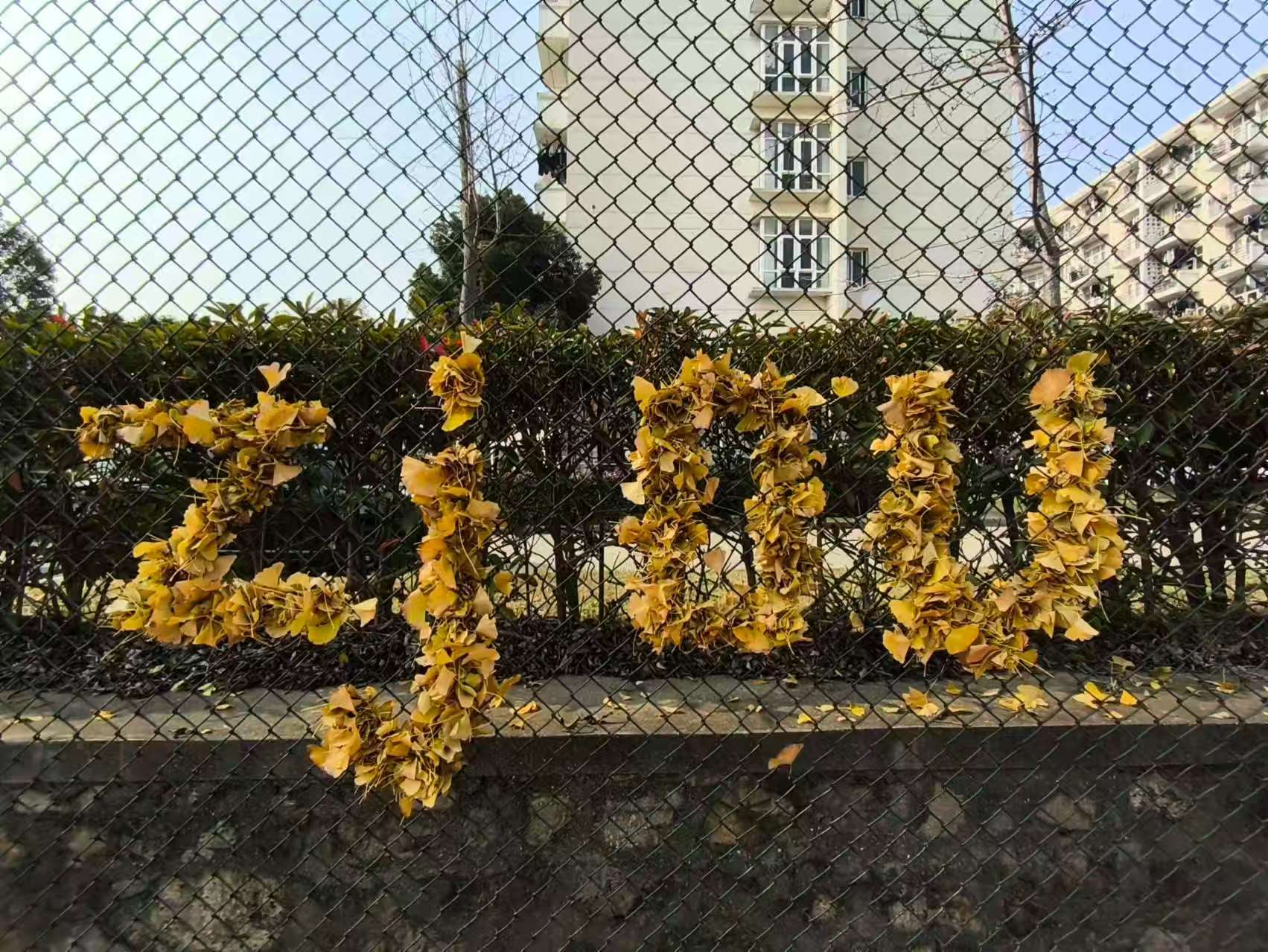 微信图片_20241222150251.jpg