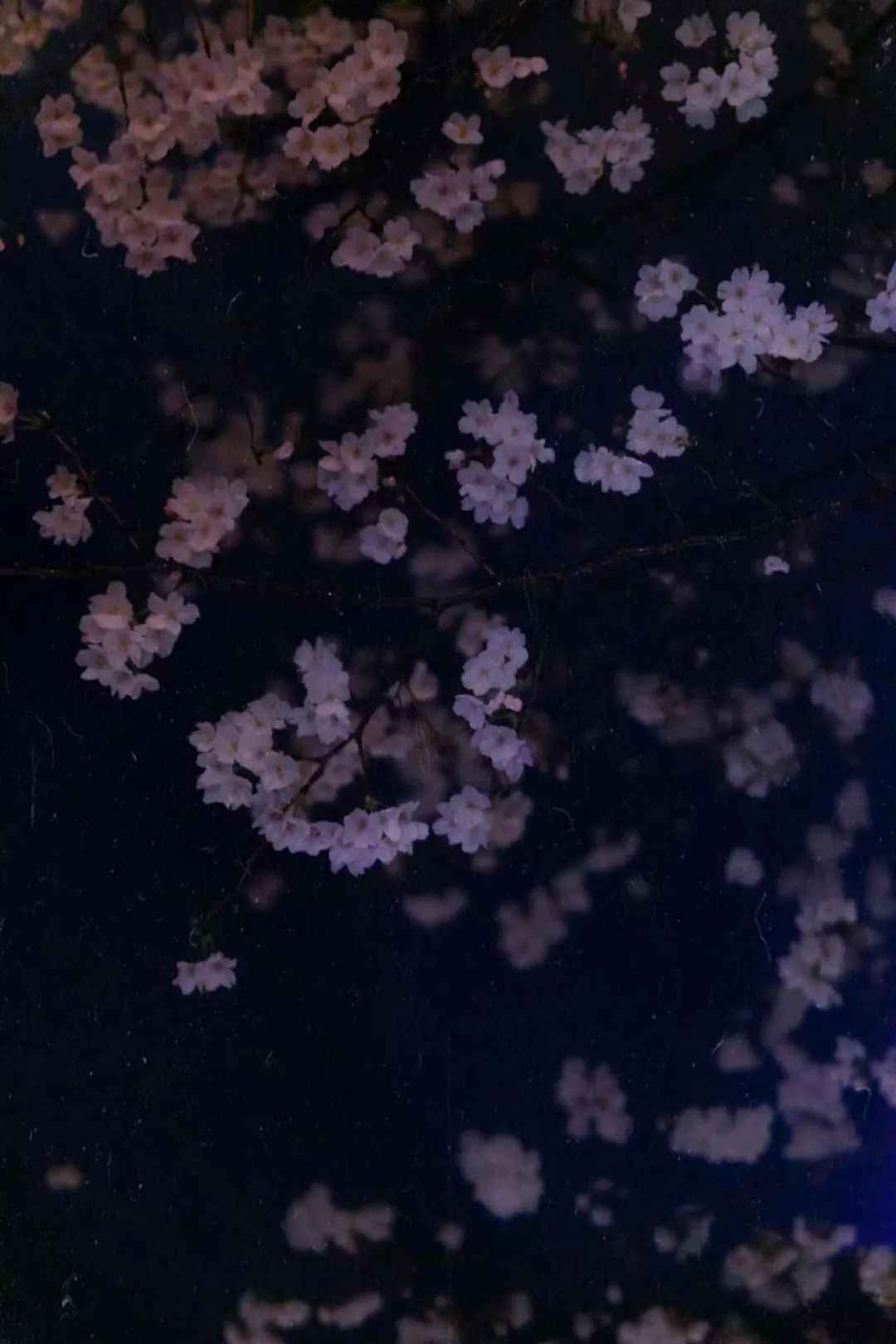 640.jpg 图片