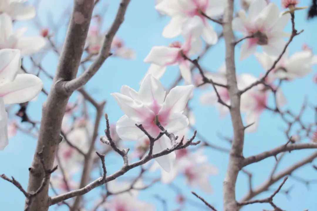 640.jpg 图片