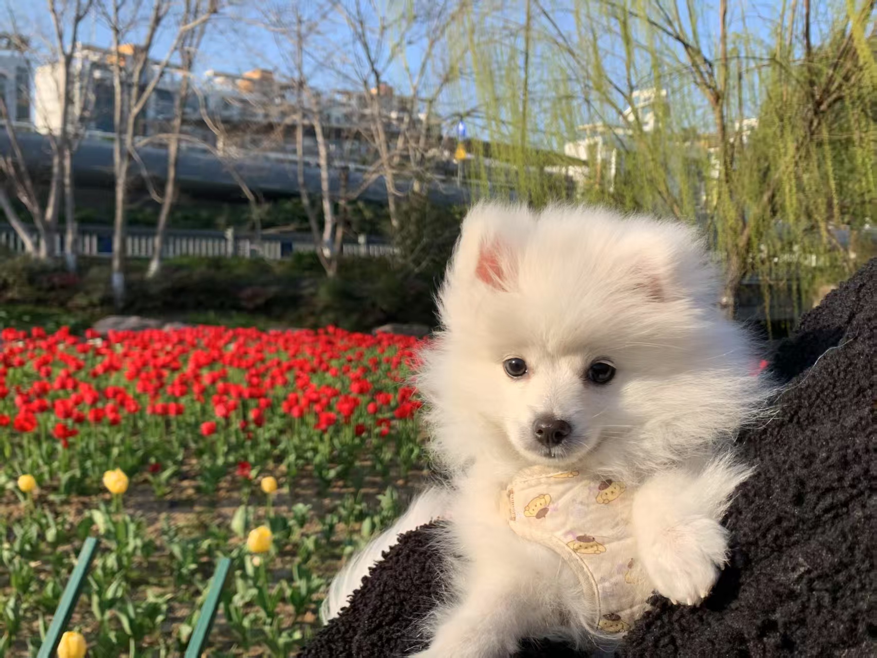 微信图片_20250511171724.jpg