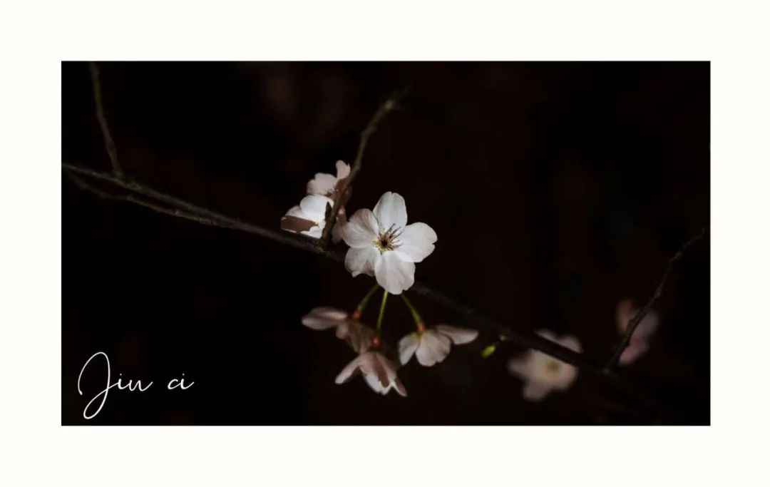 640.jpg 图片