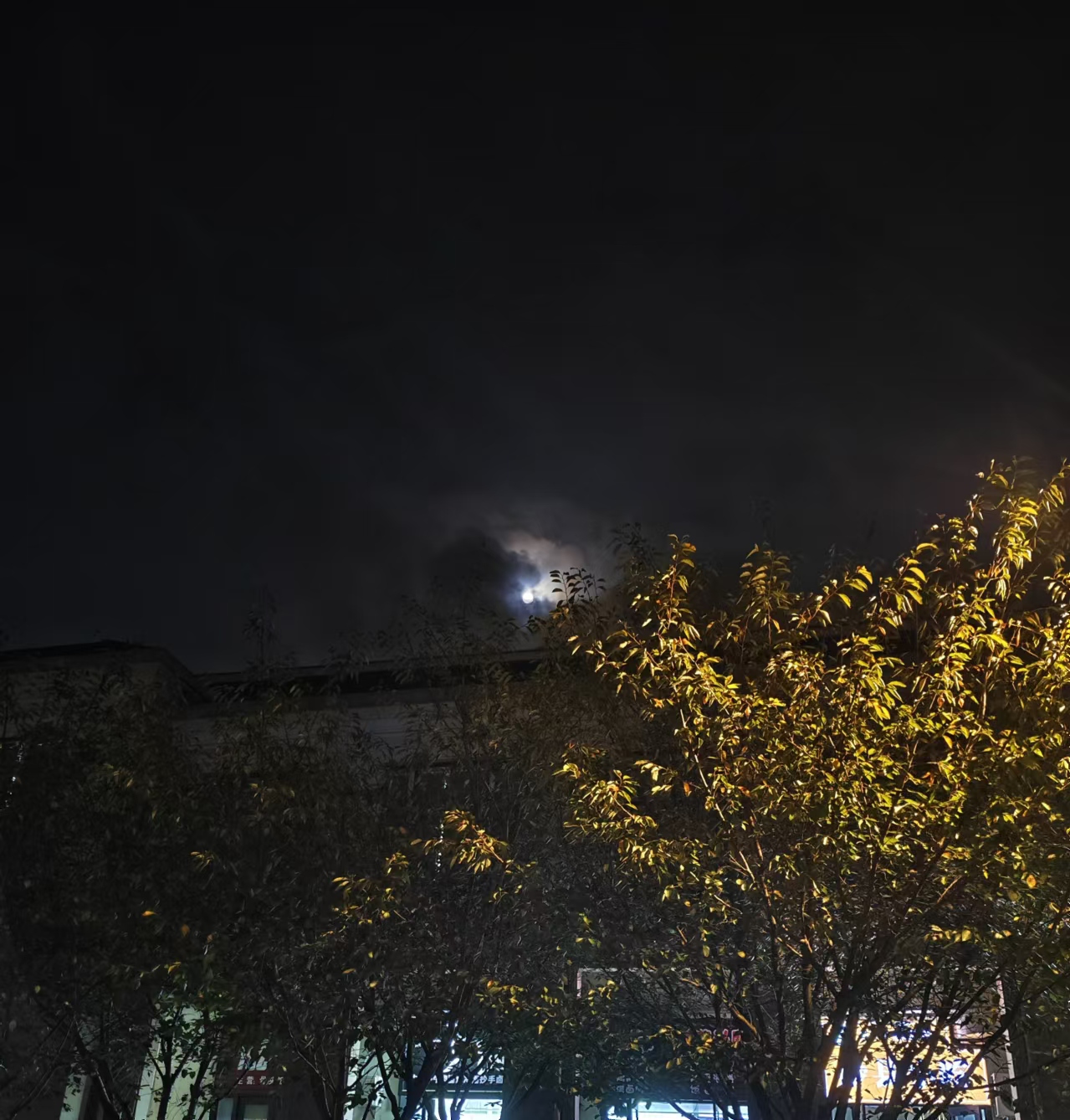 33a05dbde36624a815ae9709b9ff000f_.jpg