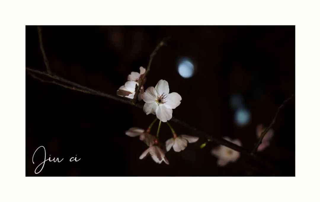 640.jpg 图片