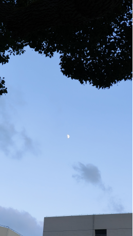 image.png image.png