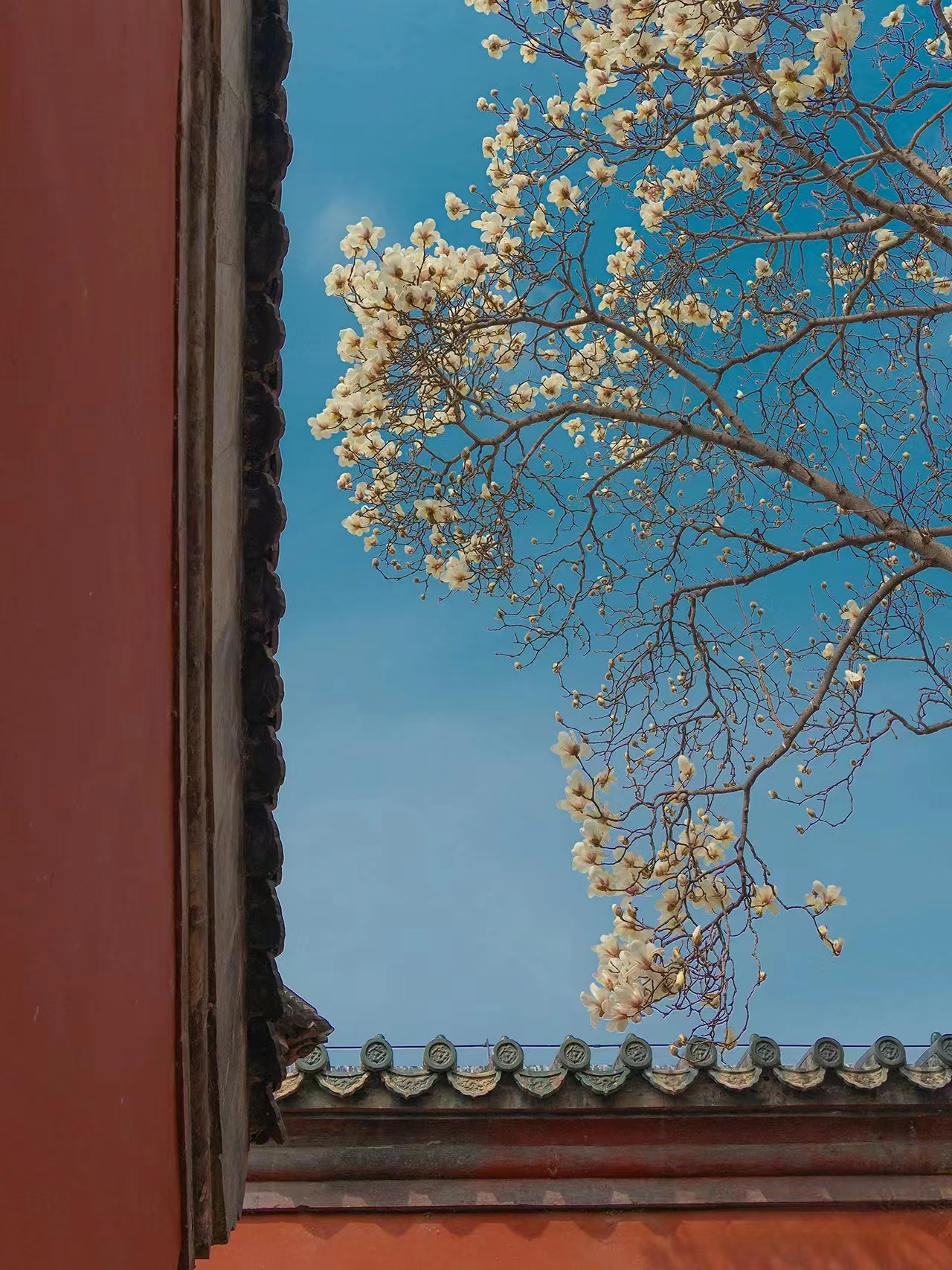 微信图片_20250129121317.jpg