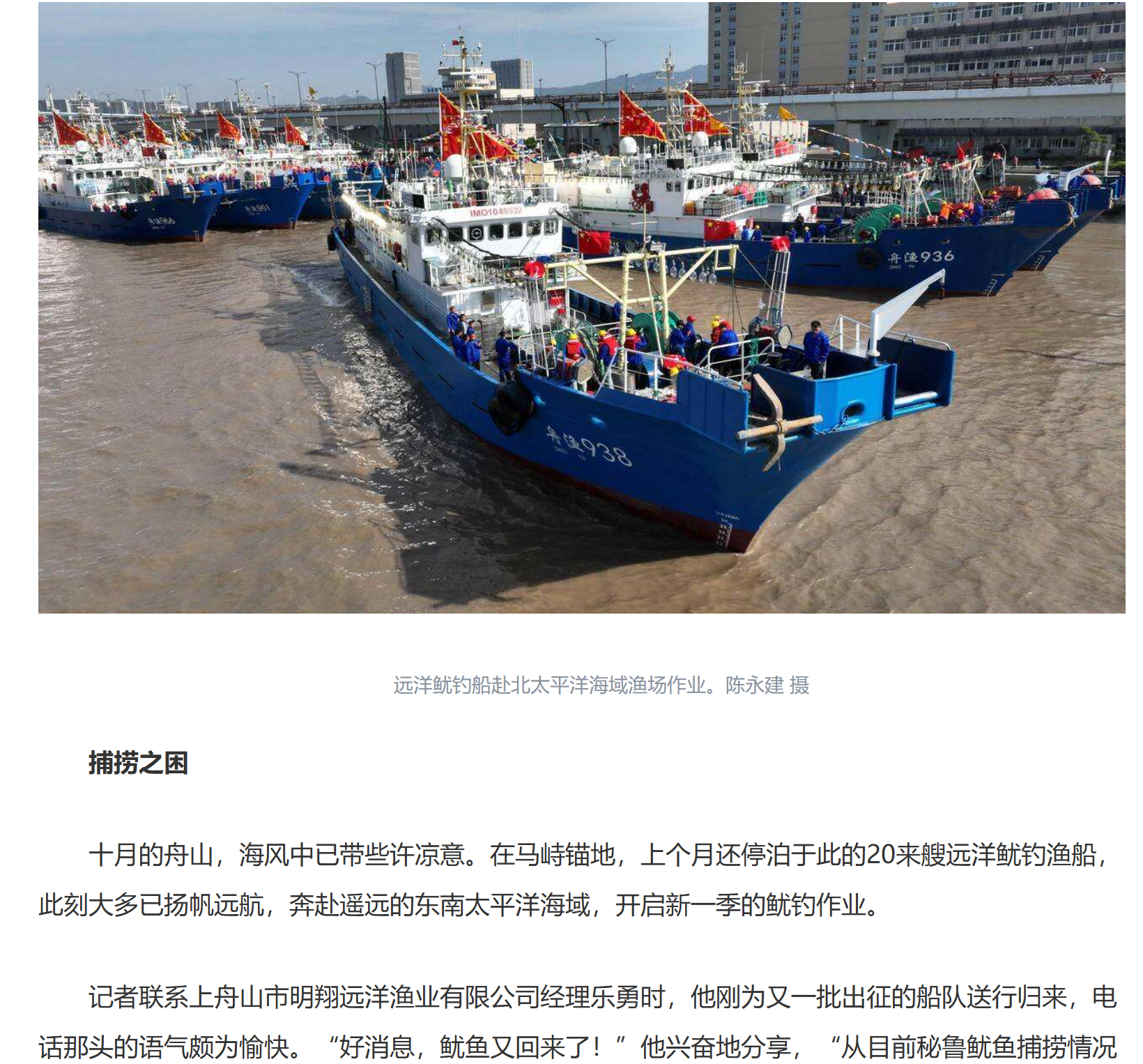 20251009 潮新闻客户端 全球捕捞量最大的无脊椎动物鱿鱼，要不要“养护”？7.png
