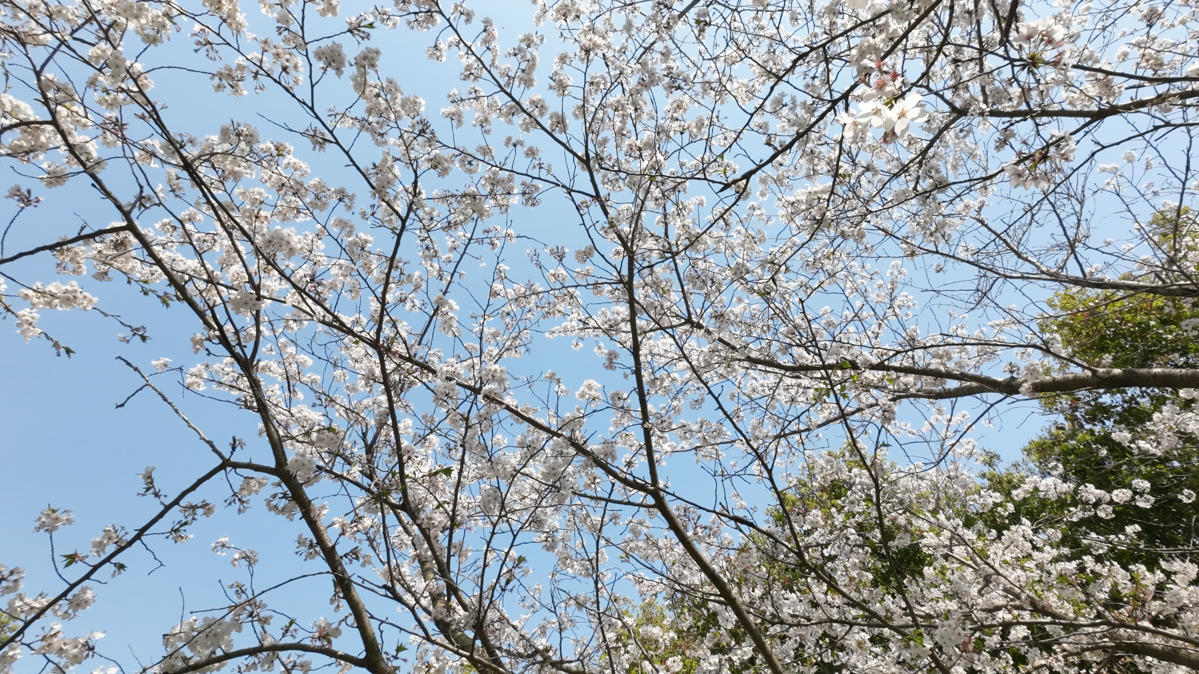 微信图片_20250404200813.jpg