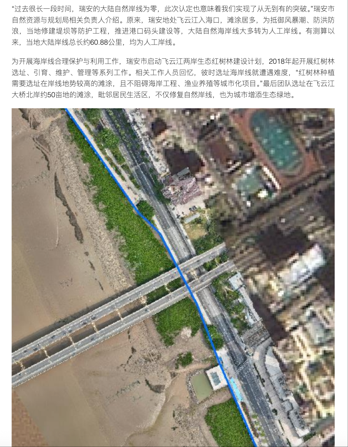 20250808 潮新闻客户端 生态修复让自然岸线从无到有 瑞安新添“会呼吸”的海岸线2.png