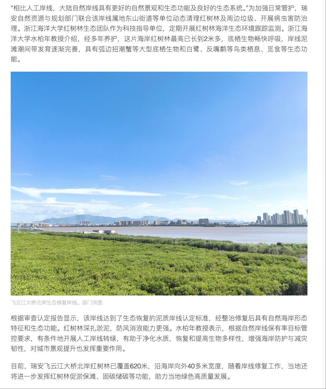 20250808 潮新闻客户端 生态修复让自然岸线从无到有 瑞安新添“会呼吸”的海岸线3.png