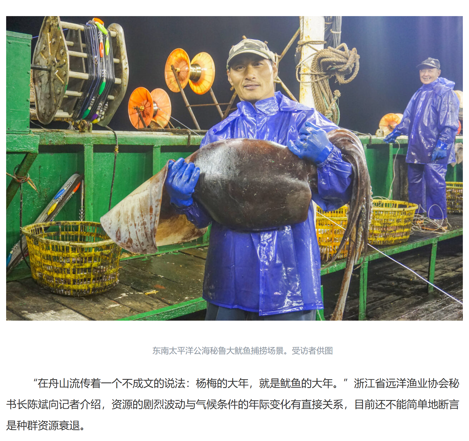 20251009 潮新闻客户端 全球捕捞量最大的无脊椎动物鱿鱼，要不要“养护”？9.png