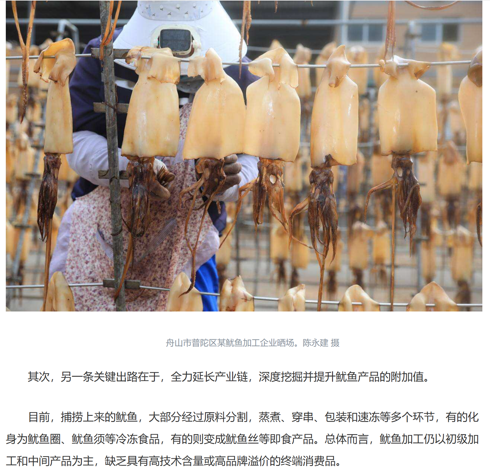 20251009 潮新闻客户端 全球捕捞量最大的无脊椎动物鱿鱼，要不要“养护”？13.png