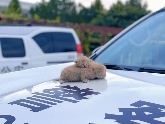 微信图片_202410172228301.jpg