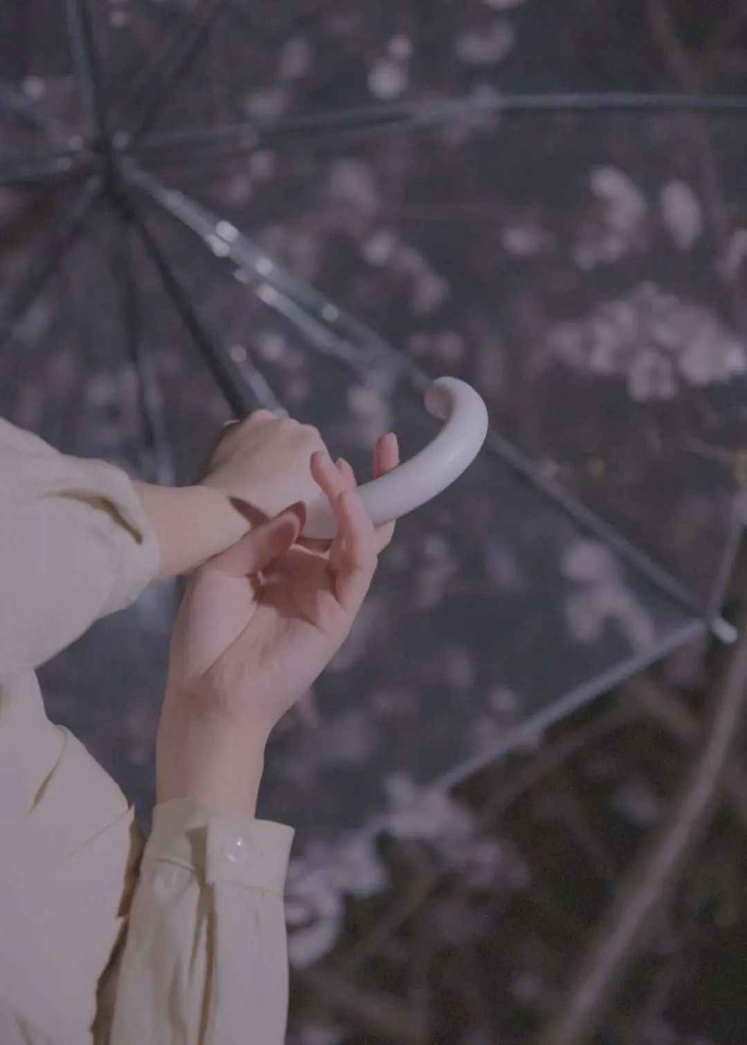 640.jpg 图片