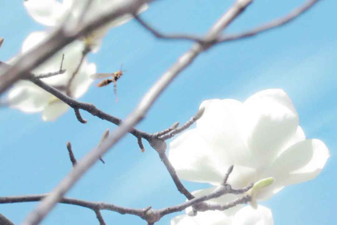 640.jpg 图片