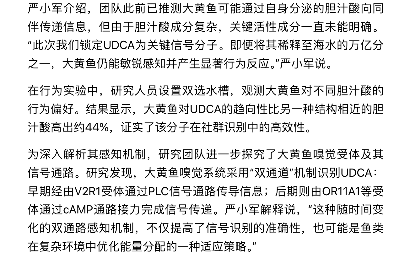 20251115 《科技日报》 大黄鱼靠“嗅觉”识别同伴机制获揭示2.png