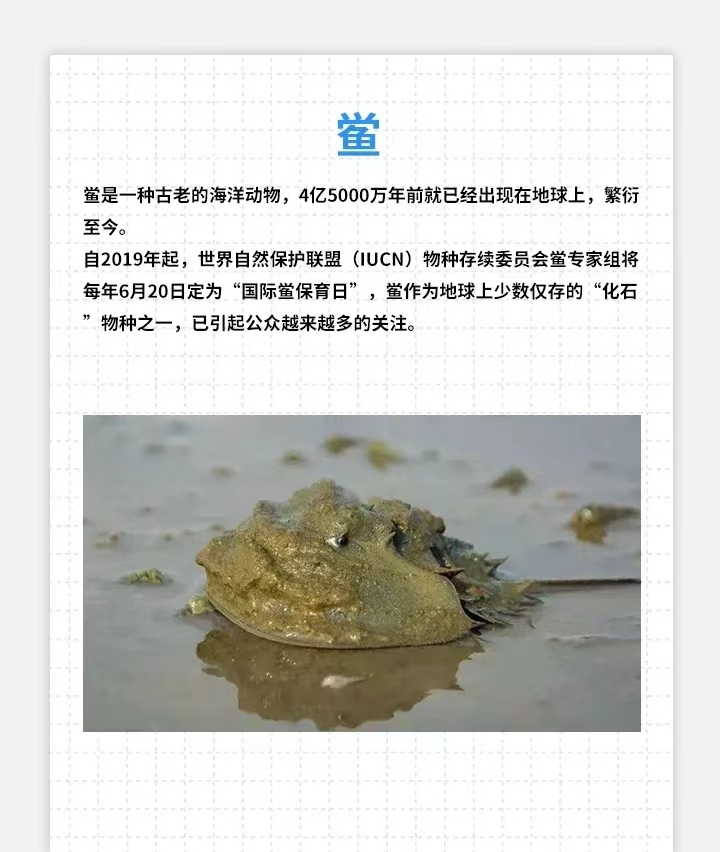 微信图片_20250511185252.jpg
