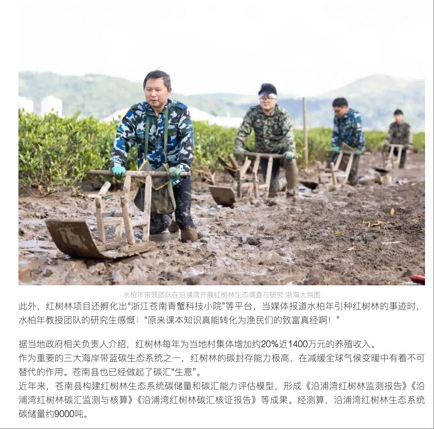20250911 潮新闻客户端 这位全国“最美教师”,和温州的红树林有不解之缘3.png