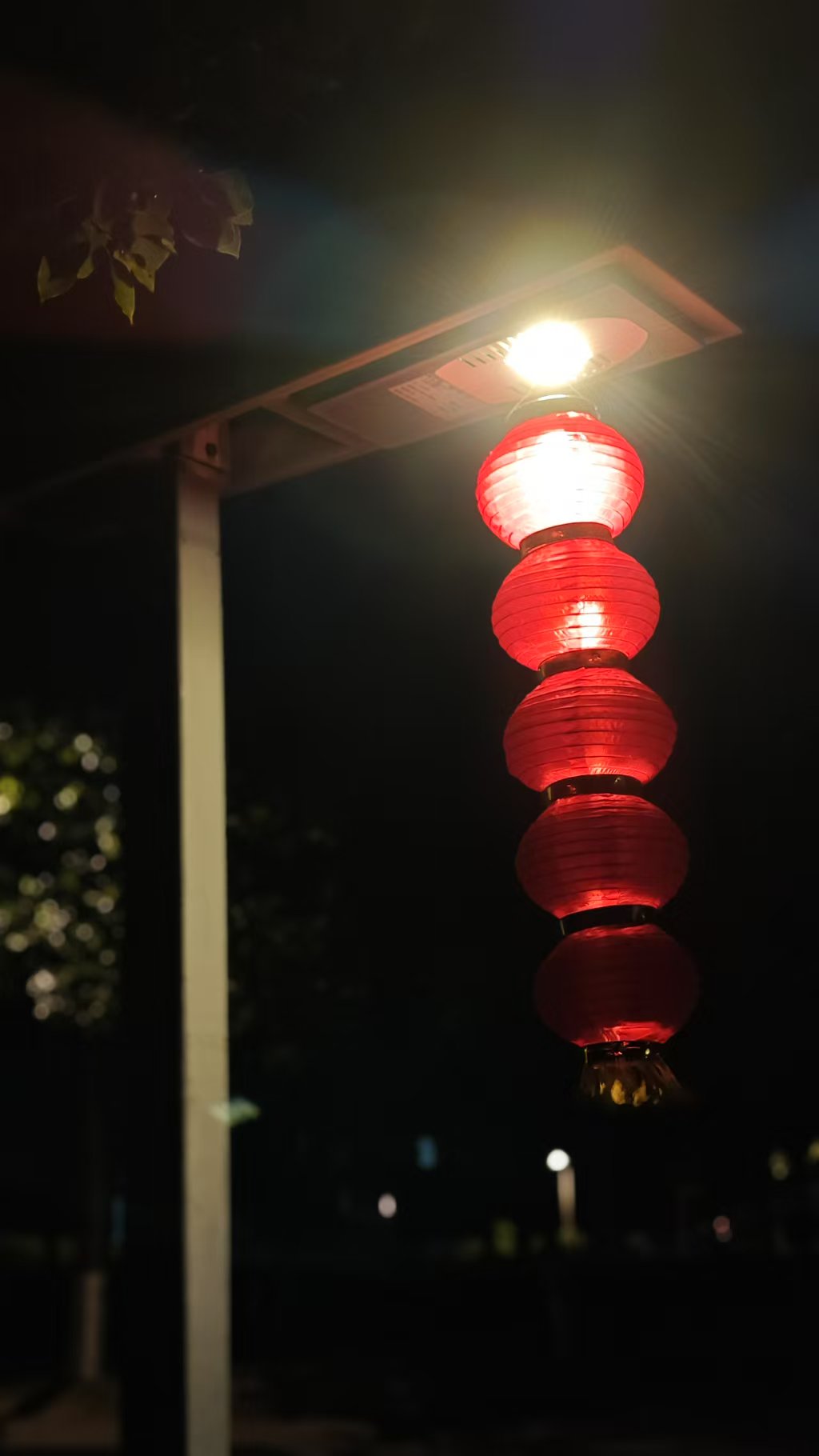 微信图片_20241228221613.jpg