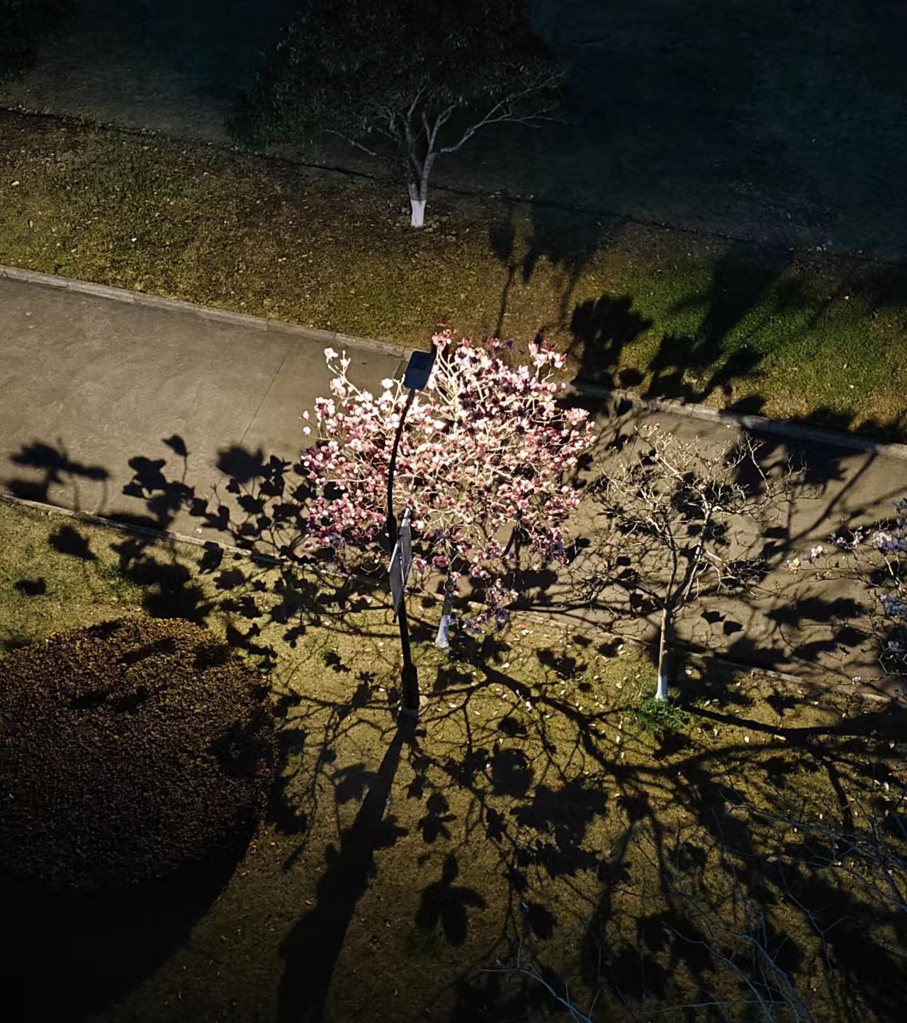 微信图片_20250408122535.jpg