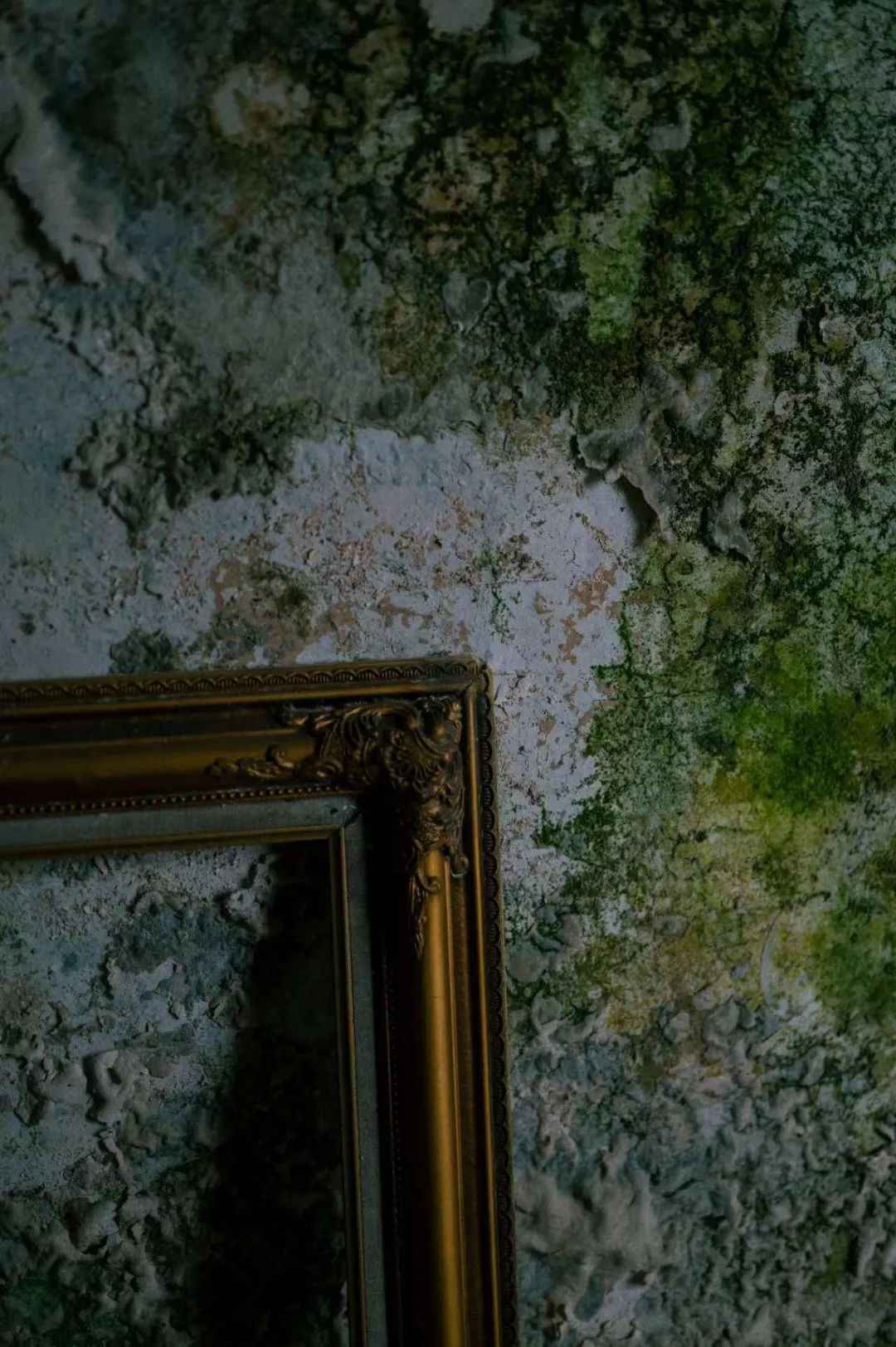 640.jpg 图片