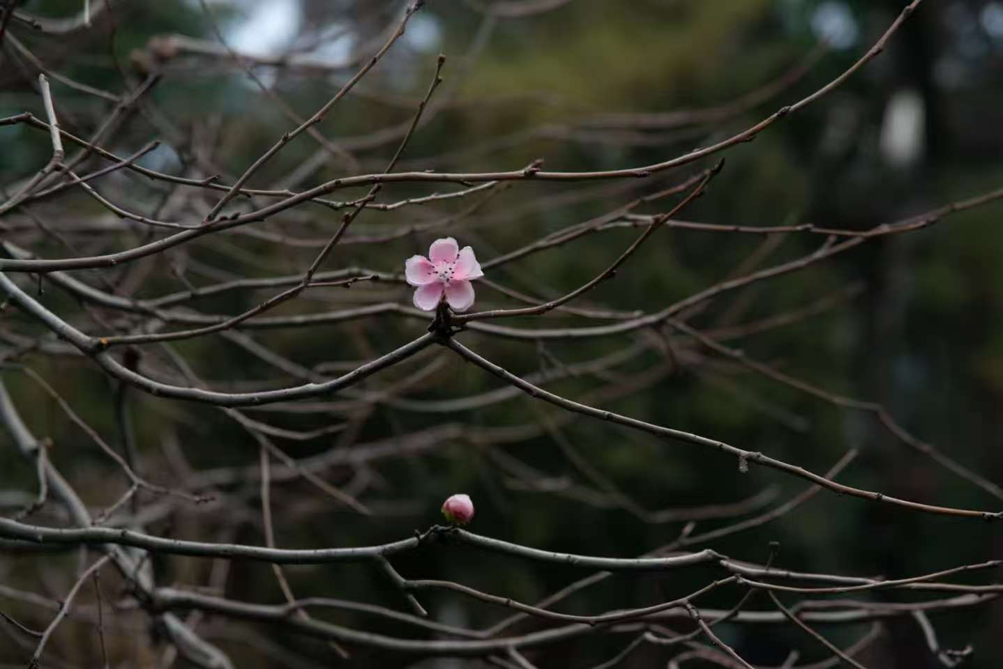 微信图片_20250316102636.jpg