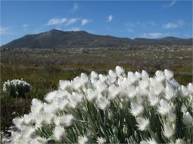 03fa2d7430401324c9e3c89d7ff1448.jpg 03fa2d7430401324c9e3c89d7ff1448.jpg