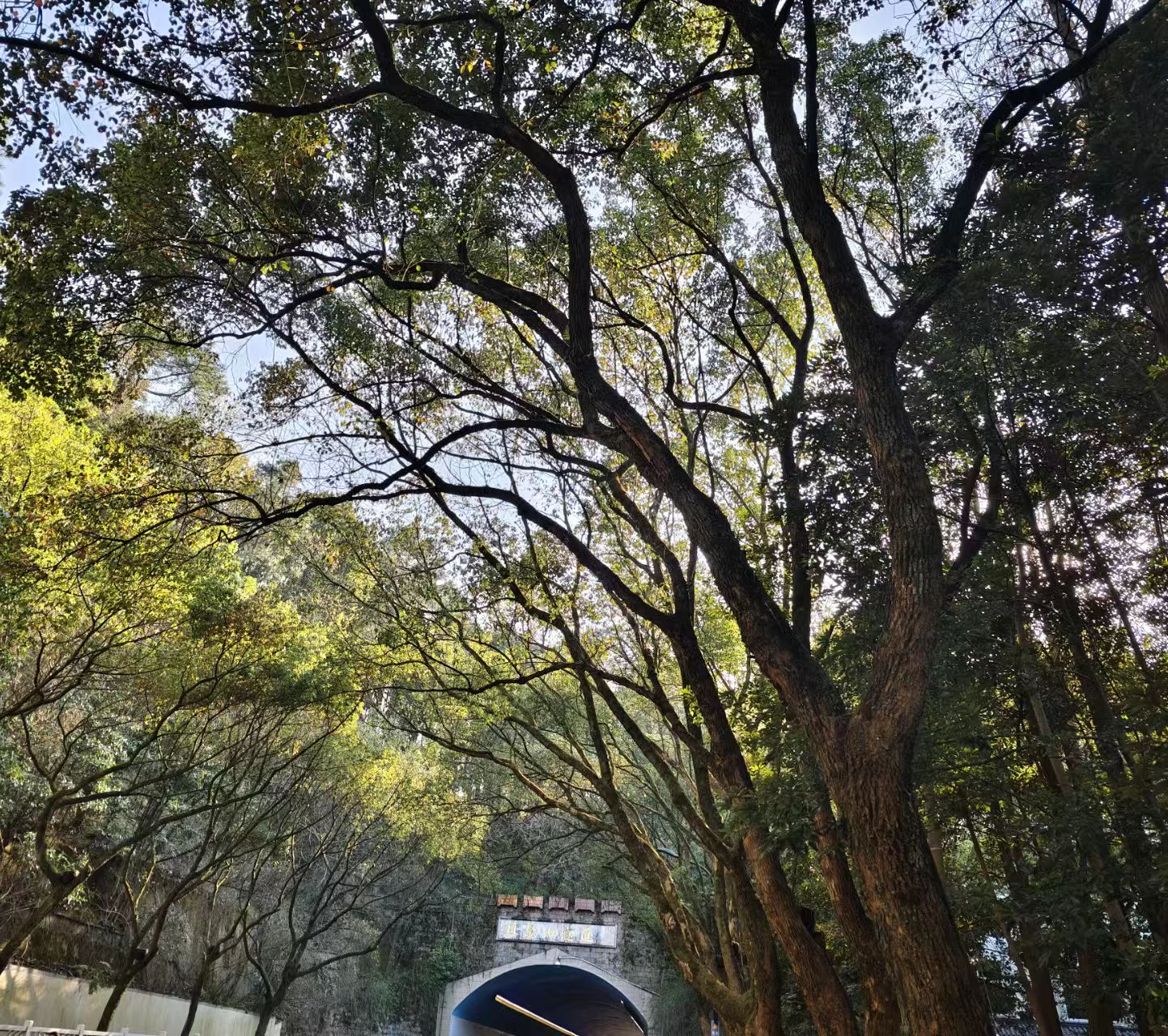 微信图片_20250401160953.jpg