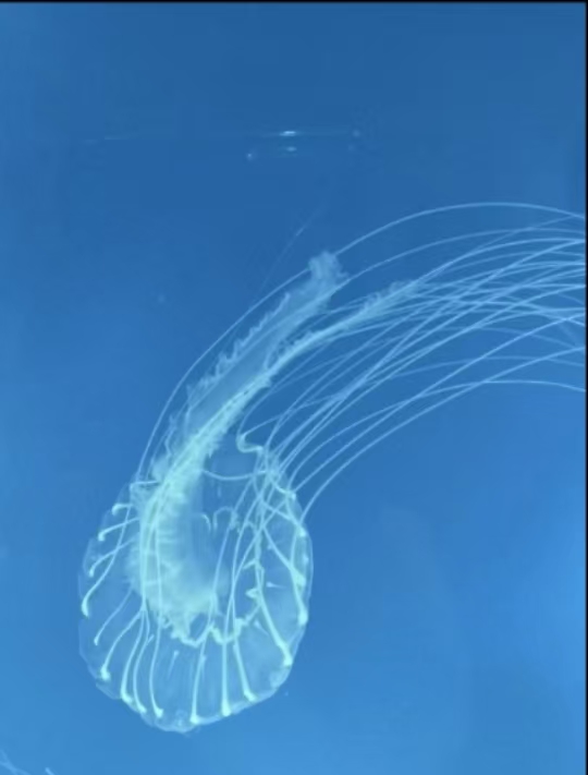 微信图片_20241021184349.jpg 微信图片_20241021184349.jpg