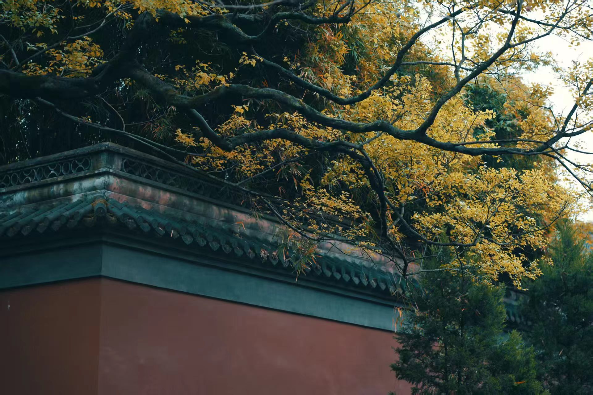 微信图片_20250406153448.jpg